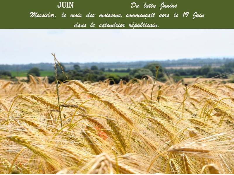 Cal juin 0
